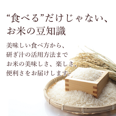 食べるだけじゃない、お米の豆知識